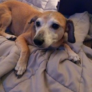 Meet your Posher, Stacey